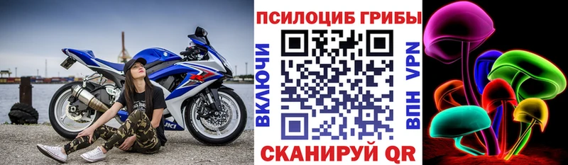 hydra tor  Люберцы  Галлюциногенные грибы GOLDEN TEACHER 